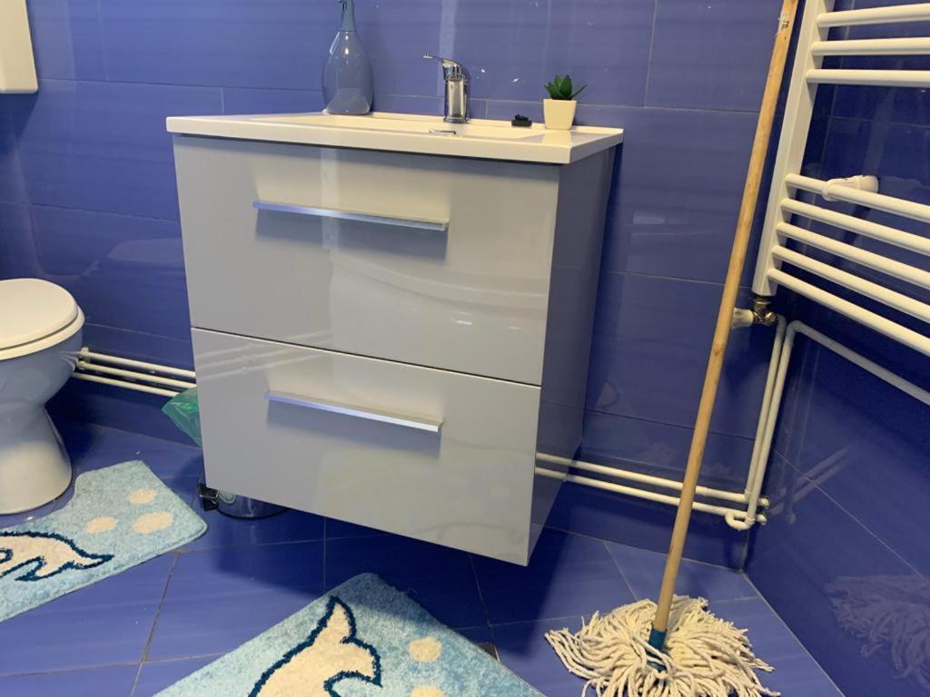 シビウGarsoniera Madalinaアパートメント エクステリア 写真